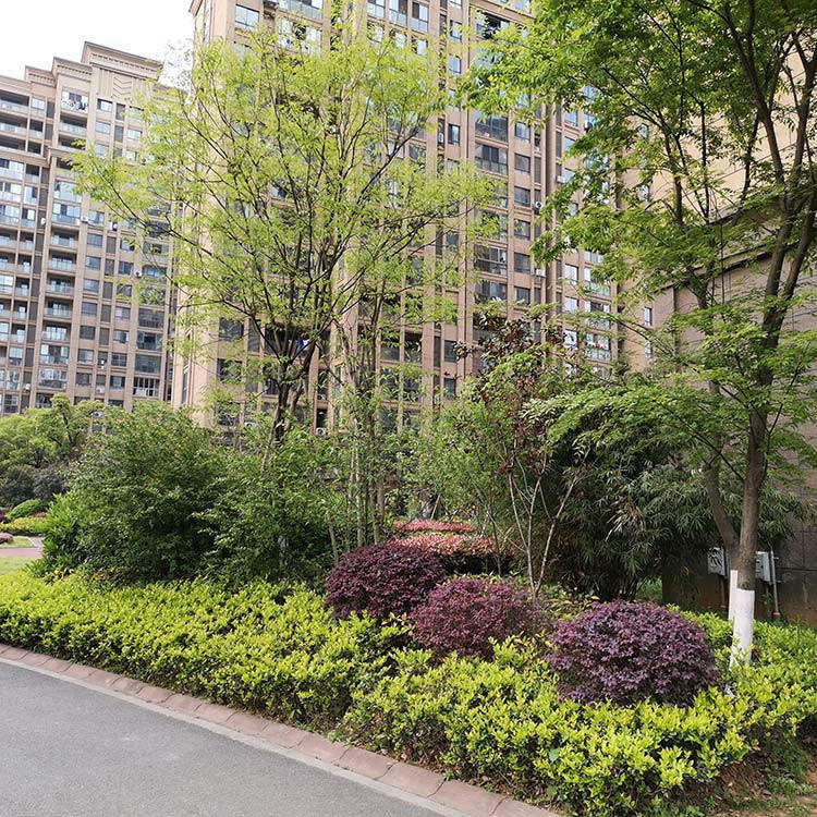 工程案例
