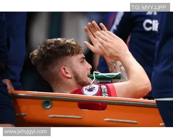 李静深度解析乒乓球技巧与欧冠足球战术的独特见解与心得分享